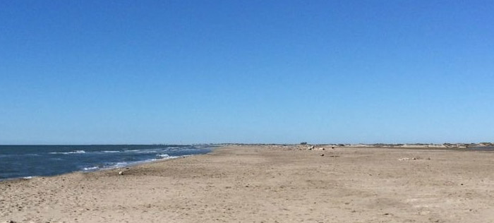 Team building Disc Golf en Camargue sur la plage